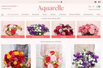 Aquarelle