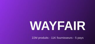 Wayfair 22 millions de produits 11000 fournisseurs marketplace meuble