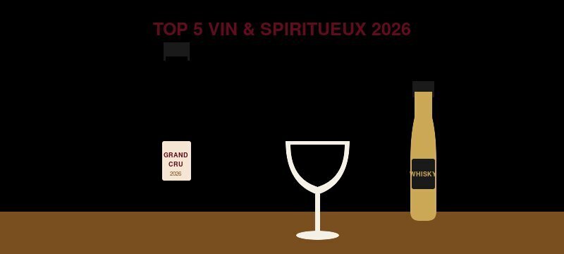 Top 5 des marketplaces vin et spiritueux 2026 : Vinatis, iDealwine, Millésima, Lavinia, Le Petit Ballon