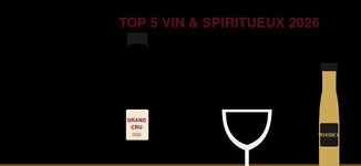 Top 5 des marketplaces vin et spiritueux 2026 : Vinatis, iDealwine, Millésima, Lavinia, Le Petit Ballon